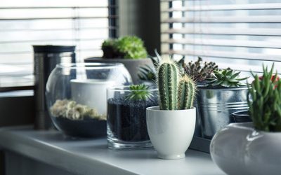 Conoces los beneficios del Feng Shui?? Descúbrelos en este post y gana una asesoría profesional de Feng Shui!!