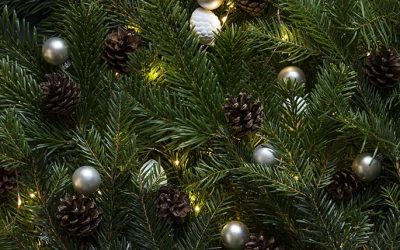Como decorar el árbol de Navidad con Feng Shui