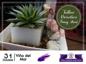 feng shui viña