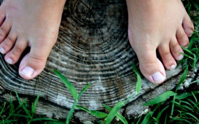 Volver a conectarnos con la naturaleza y renacer con ella…vivir con Feng Shui!!