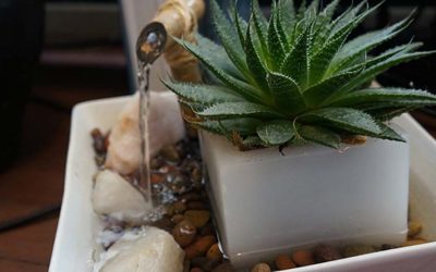 Ideas de regalos con sentido: regalar con amor y Feng Shui!
