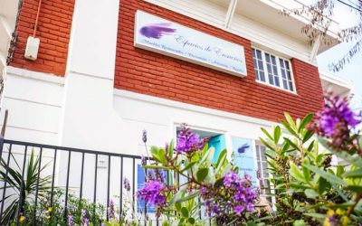 El Espíritu  de Espacios de Ensueños: Un emprendimiento y como el Feng Shui llegó a mi vida…