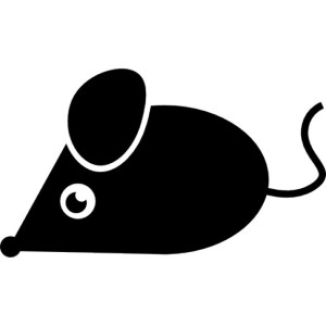 raton-negro-de-origen-animal_318-56739